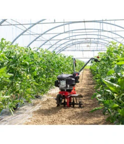 AL-KO Benzin-Motorhacke MH 360 -Gartenmöbel Store 6943237 WE MO 002 MotorhackeMH360