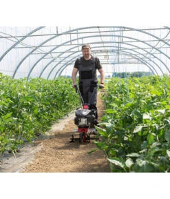 AL-KO Benzin-Motorhacke MH 360 -Gartenmöbel Store 6943237 WE MO 003 MotorhackeMH360