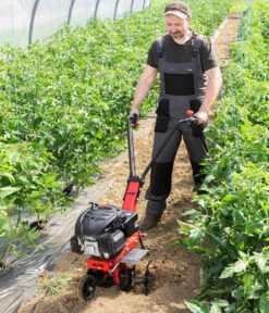 AL-KO Benzin-Motorhacke MH 360 -Gartenmöbel Store 6943237 WE MO 004 MotorhackeMH360