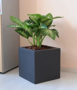 Farmet New Doppelwandiger Kunststoff-Kübel Atlantis, Quadratisch, Dunkelgrau, Inkl. Untersetzer -Gartenmöbel Store 6965065 WE MO 001 FarmetNewdoppelwandigerKunststoffKuebelAtlantisrechteckig