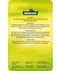 Korea-Tanne 'Molli' 13 Korea-Tanne 'Molli' -Gartenmöbel Store 7001936 KoreatanneMolli Etikett 2