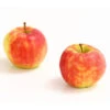 Herbstapfel 'Elstar' 1 Herbstapfel 'Elstar' -Gartenmöbel Store 7369164 WE DE 005 ApfelElstarDehnerExpressHerzig