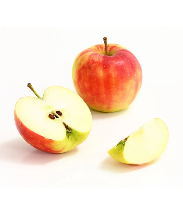 Herbstapfel 'Elstar' 4 Herbstapfel 'Elstar' – Bild 2