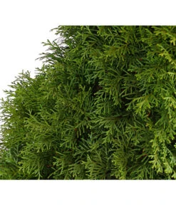 31 Meter Lebensbaum 'Smaragd', 125 X Ca. 40-60 Cm -Gartenmöbel Store 7513534 WE DE 001 ThujaLebensbaumOccidentalisSmaragd20LDehnerExpressHerzig