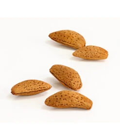 Mandelbaum -Gartenmöbel Store 7603889 WE DE 002 MandelPalatinaPrunusDulcisDehnerExpressHerzig