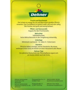 Dehner Pfirsich 'Benedicte' -Gartenmöbel Store 7611155 WeissfleischigerPfirsichBenedicte Etikett 2