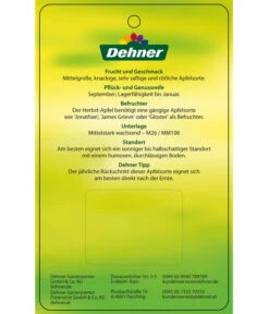 Herbstapfel 'Elstar' 13 Herbstapfel 'Elstar' -Gartenmöbel Store 7639164 HerbstapfelElstar Etikett 2