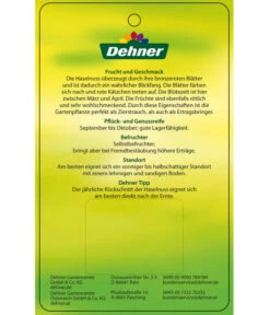 Dehner Haselnuss 'Rote Zellernuss' -Gartenmöbel Store 7663073 HaselnussRoteZellernuss Etikett 2