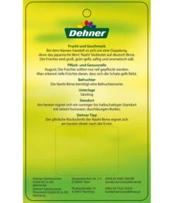 Nashi-Birne 'Nijiseiki' -Gartenmöbel Store 7719826 Nashi BirneNijiseiki Etikett 2