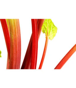Dehner Gourmet Garten Himbeer-Rhabarber -Gartenmöbel Store 7736028 PR DE 002 RhabarberHimbeere2LiterDehnerExpressHerzig