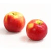 Allergikerapfel 'Santana' -Gartenmöbel Store 7750631 WE DE 003 ApfelSantanaDehnerExpressHerzig