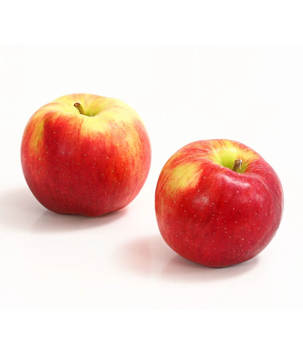 Allergikerapfel 'Santana' 3 Allergikerapfel 'Santana'