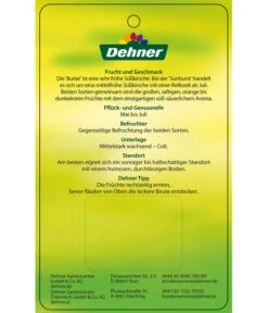 Kirschen-Duo 'Sunburst/Burlat' 11 Kirschen-Duo 'Sunburst/Burlat' -Gartenmöbel Store 7760713 Suesskirschen DuoSunburstBurlat Etikett 2