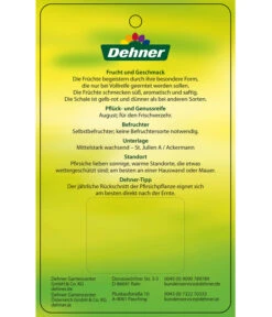 Dehner Tellerpfirsich -Gartenmöbel Store 7763378 Tellerpfirsich Etikett 2