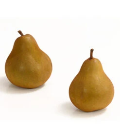 Winterbirne 'Uta' -Gartenmöbel Store 7769854 WE DE 003 BirneUtaDehnerExpressHerzig