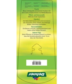 Tafeltraube 'Erdbeertraube' 9 Tafeltraube 'Erdbeertraube' -Gartenmöbel Store 7773708 TafeltraubeErdbeertraube Etkett 2