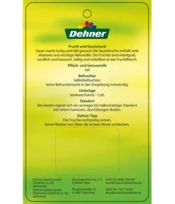 Sauerkirsche 'Vowi' 9 Sauerkirsche 'Vowi' -Gartenmöbel Store 7773757 SauerkirscheVowi Etikett 2