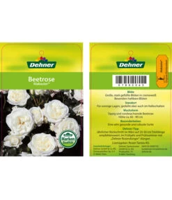Edelrosen-Mix 'Nostalgie®' -Gartenmöbel Store 7800063 AlabasterBeetrose Etikett1