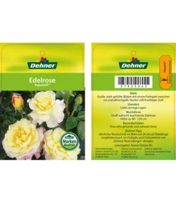 Edelrosen-Mix 'Nostalgie®' -Gartenmöbel Store 7800063 AquarellEdelrose Etikett1