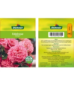 Edelrosen-Mix 'Nostalgie®' -Gartenmöbel Store 7800063 AshleyEdelrose Etikett1