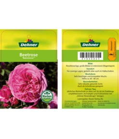 Edelrosen-Mix 'Nostalgie®' -Gartenmöbel Store 7800063 BaronesseBeetrose Etikett1