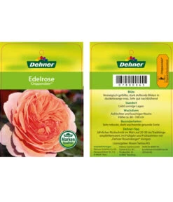 Edelrosen-Mix 'Nostalgie®' -Gartenmöbel Store 7800063 ChippendaleEdelrose Etikett1