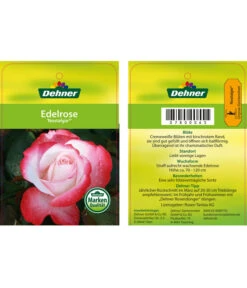 Edelrosen-Mix 'Nostalgie®' -Gartenmöbel Store 7800063 NostalgieEdelrose Etikett1