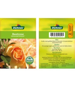 Beetrose 'Hansestadt Rostock®' -Gartenmöbel Store 7866551 HansestadtRostockBeetrose Etikett1