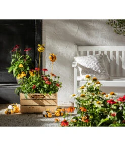 Sonnenhut -Gartenmöbel Store 8012619 WE MO 001 EchinaceaPurpurea3LSonnenhutThemaBieneEchinaceamitPeople GC10 2020 01