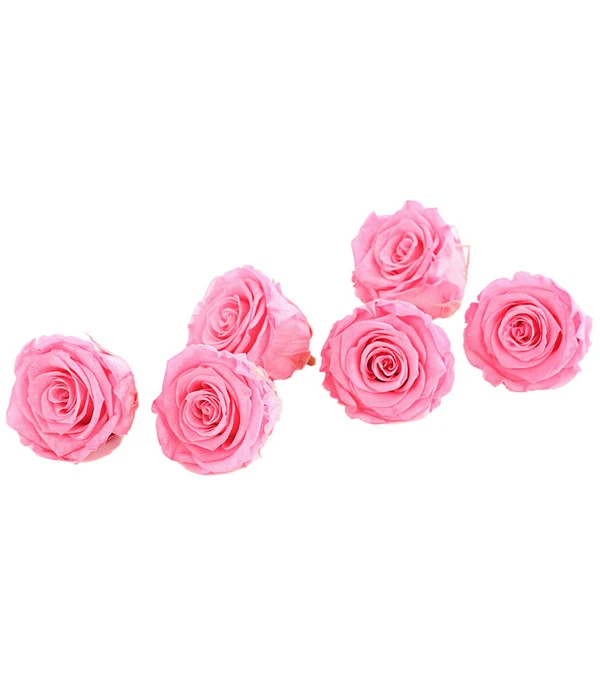 Longlife-Rose, Ca. Ø6 Cm 3 Longlife-Rose, Ca. Ø6 Cm