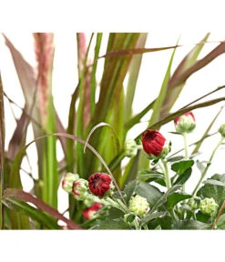 Herbst-Chrysantheme Mit Gras Im Blumenkasten, Verschiedene Farben -Gartenmöbel Store 8213217 PR DE 002 ChrysanthemeMulitfloraMitGrasKastenDehnerExpressHerzig