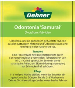 Odontonia-Orchidee - Odontonia Hybriden 'Samurai' 9 Odontonia-Orchidee - Odontonia Hybriden 'Samurai' -Gartenmöbel Store 8256158 OdontoniaSamuraiEtikett2