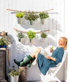 Bio Thymian -Gartenmöbel Store 8610123 WE MO 001 Oregano Kraeuter 1