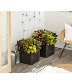 Beet- & Balkonpflanzen-Set Farbexplosion, 6-teilig -Gartenmöbel Store 8800567 PR MO 001 Beet Balkon SetBuntnessel