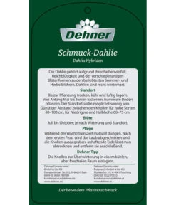 Dehner Premium Dahlie -Gartenmöbel Store 8822462 Schmuck Dahlie Etikett 2