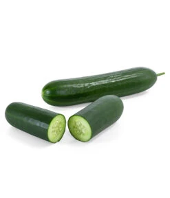 Mini Schlangengurke -Gartenmöbel Store 8830747 WE FS 003 Minischlangengurke