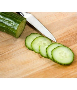 Schlangengurke -Gartenmöbel Store 8830788 WE MO 002 Schlangengurke