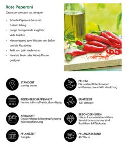 Rote Peperoni, Scharf -Gartenmöbel Store 8831687 WE IG 001 RotePeperoni