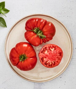 Bioland Fleischtomate -Gartenmöbel Store 8842627 WE MO 001 BiolandFleischtomate