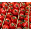 Bioland Cherrytomate 1 Bioland Cherrytomate -Gartenmöbel Store 8842635 WE DE 001 Bio Cherrytomate