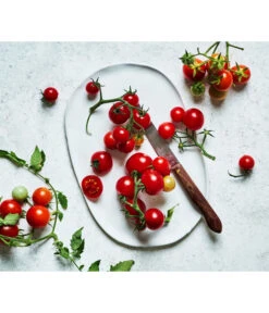 Bioland Cherrytomate -Gartenmöbel Store 8842635 WE MO 002 Bio Cherrytomate